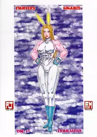 [From Japan (Aki Kyouma)] FIGHTERS GIGAMIX FGM Vol.17 (Dead or Alive, SOULCALIBUR)