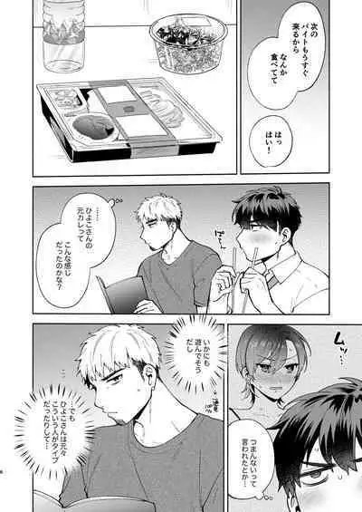 Hiyoko-san wa Sewazuki 2