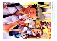 [Nishieda] Dendrobium (Decensored)