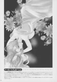 (C70) [Purincho. (Purin)] Luce (Mobile Suit Gundam SEED, Mobile Suit Gundam SEED DESTINY)