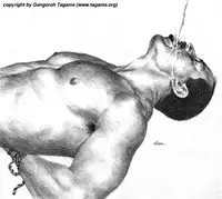 Gallery of tagame gengoroh