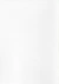 (C63) [UA Daisakusen (Harada Shoutarou)] Ruridou Gahou CODE:19 (Dead or Alive)