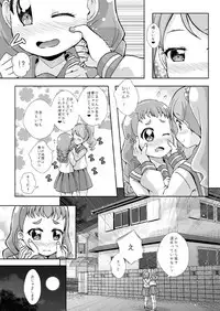 (Rainbow Flavor 18) [MirrorWorld (Mira)] H na Usagi to Koisuru Risu (Kirakira PreCure a la Mode)