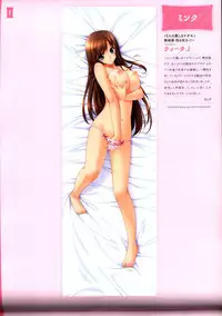 Dakimakura Cover Gashuu Bishoujo Game Hen