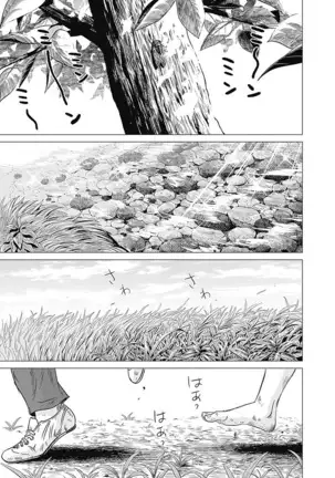 Olympia Kyklos Vol. 01-04