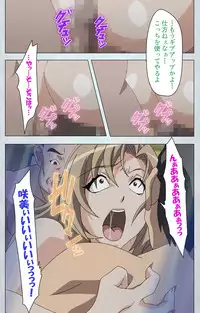 [Silky's] [Full Color Seijin Han] Maro no Kanja wa Gatenkei ~Sakimi no Shou 2~ Complete Ban [Digital]