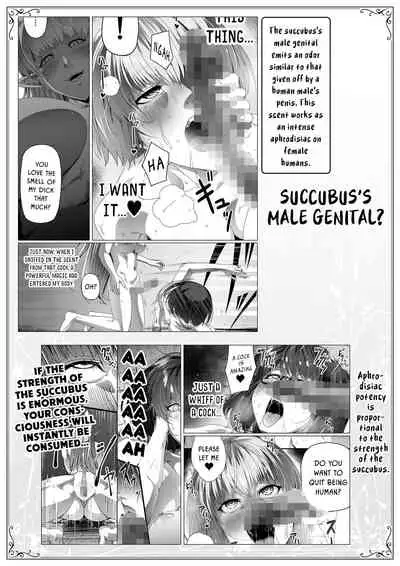 Chikara Aru Succubus wa Seiyoku o Mitashitai dake. 4