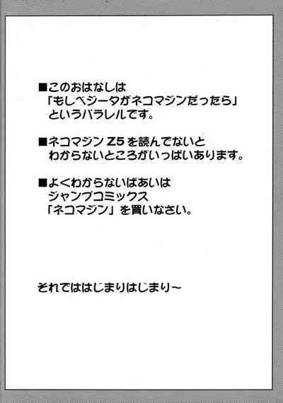 Dragonball Fan Book SPECIAL