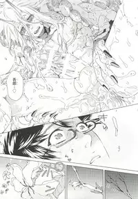 [Anthology] Pink Gold 6