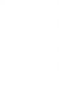 (COMIC1☆4) [Kamogawaya (Kamogawa Tanuki)] Nines SIDE-N (Mahou Shoujo Lyrical Nanoha)