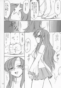 (C68) [EINSATZ GRUPPE (Charlie Nishinaka)] PRISONER 6 The song of the fake (Mobile Suit Gundam SEED Destiny)