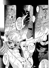 (CR25) [Studio BIG-X (Arino Hiroshi)] SHADOW CANVAS 9 (Kamikaze Kaitou Jeanne, Tenshi ni Narumon!)