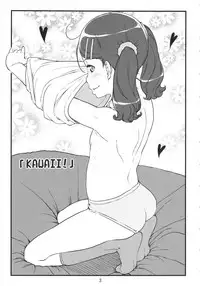 (C88) [Shiranai Ouchi (Amedori)] Purirori