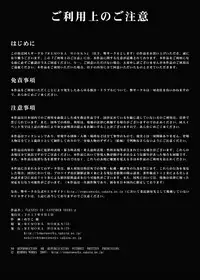 LESFES CO -LAVENDER SEEDS-