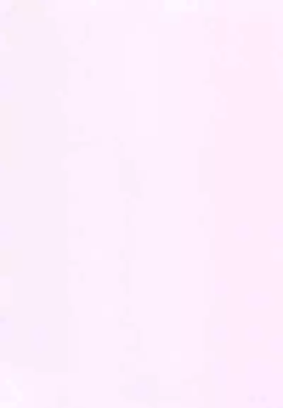 Konna Chiisana Rakuen ni