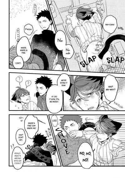 (C93) [Rototika (Kamishi Yue)] Iwa-chan no Neko ni Naritai 2 (Haikyuu!!) [English]