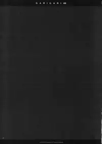 (C83) [Alemateorema (Kobayashi Youkoh)] GARIGARI 48 (To LOVE-Ru Darkness)