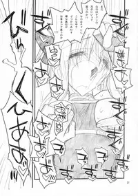 (C73) [Akai Marlboro (Aka Marl)] Fate-san ga Mae kara Ushiro kara (Mahou Shoujo Lyrical Nanoha)