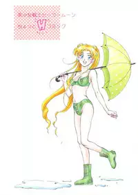 (CR13) [Y's Company (Araki You)] Paradise Army (Sailor Moon)