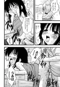 [yeahhhy tomii] Meconopsis