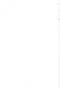 (C76) [NIKKA (Mario Kaneda)] Princess Code 03 (Seiken Densetsu 3)