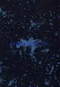 (C95) [Green tea Lab (midarin)] Inwai Hitouban (Touhou Project)