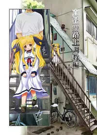 [STUDIO HUAN (Raidon)] Fate-chan. Mahiru no Rojou Choukyou Hen (Mahou Shoujo Lyrical Nanoha) [Digital]