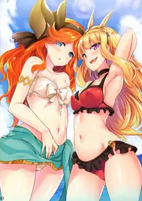 (C90) [SOTIKOTI (soramoti)] Danchou no Natsuyasumi (Granblue Fantasy)
