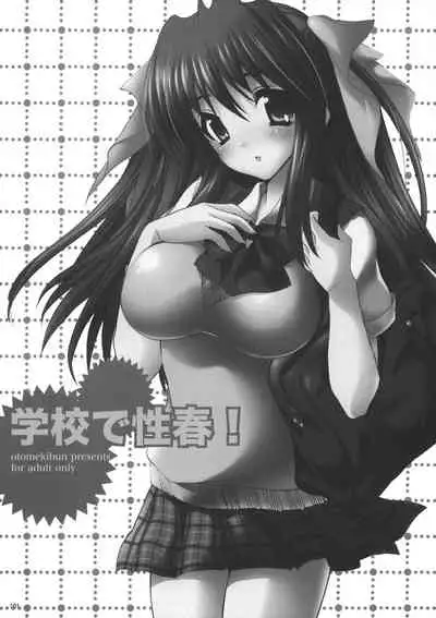 Gakko de seishun! 1 - 17 + Bangai