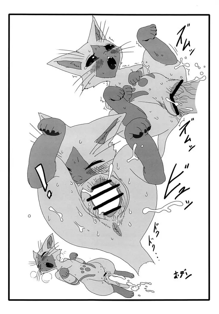 Yoru no Otomo ni Airou wo.