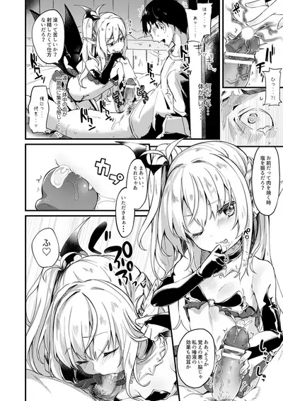 Boku wa Chiisana Succubus no Shimobe Soushuuhen