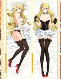 Eiyuu*Senki GOLD Visual Fanbook