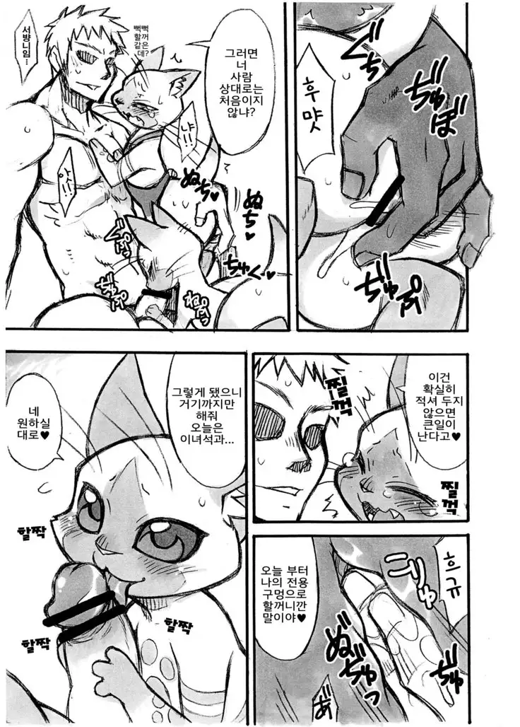 Yoru no Otomo ni Airou wo.