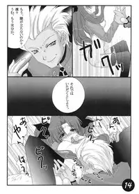 (SC25) [CS205 (Kineya Emuko)] CATHARSIS (Fate/stay night)