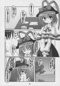 (C74) [Schwester (Shirau Inasaki) Rollin 29 (Touhou Project)