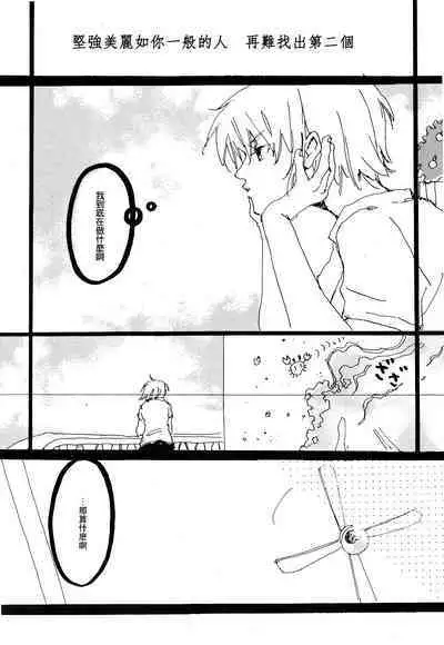 Heliotrope |日光菊