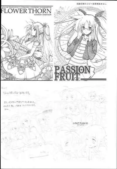 SICOSICO COLLECTION 01