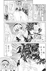 [Rabbit Company (Kotogi Raura)] Stale World V (Magic Knight Rayearth)