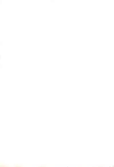 May no Tenshi 2001-nen Natsu