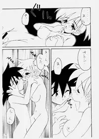 (C52) [Rainbow Force, Yuusei Honpo (Minakami Hiroki, Fujimoto Sei)] Pokemon Pink Kanzenban (Pokémon)