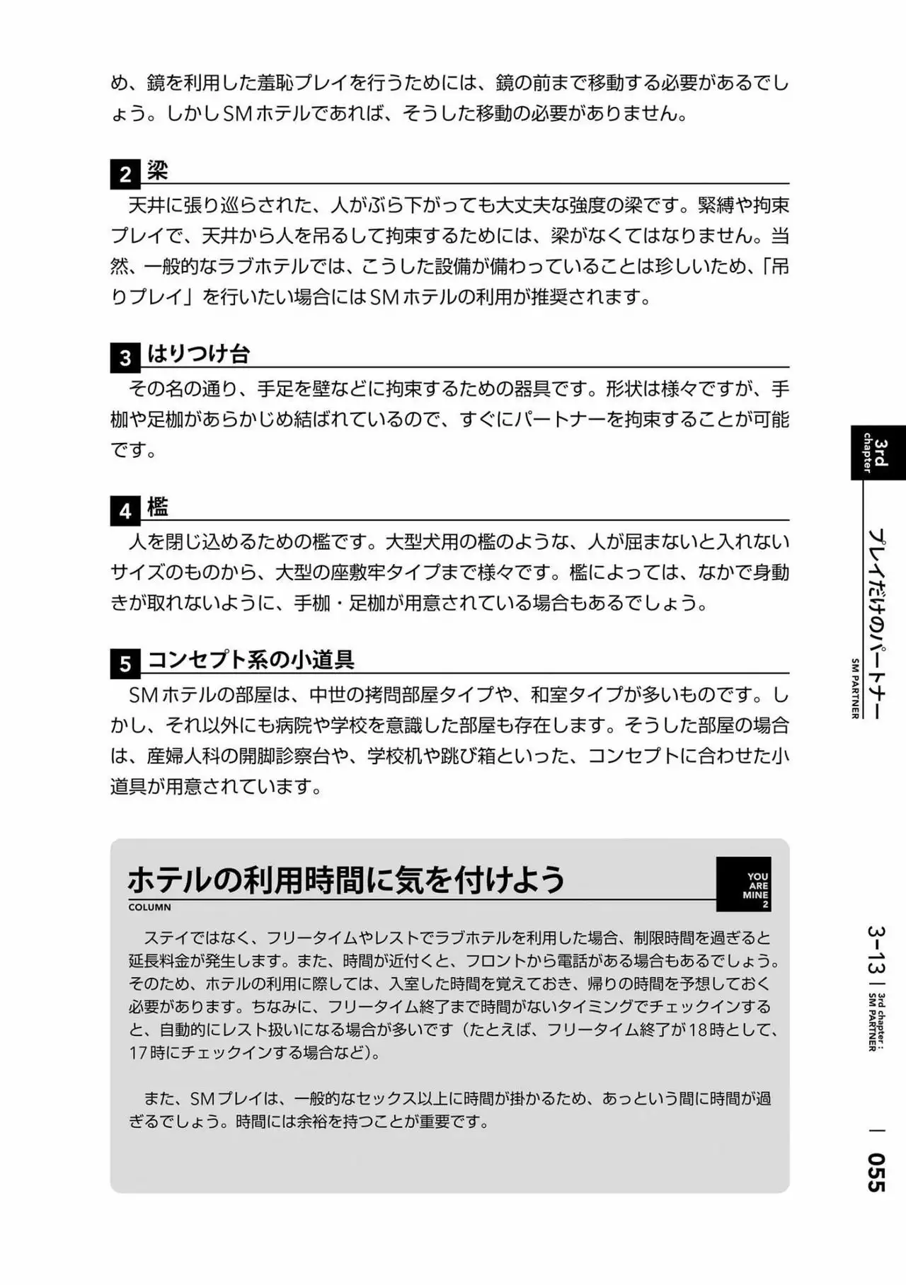 Karada mo Kokoro mo Boku no Mono ~Hajimete no SM Guide~ 2