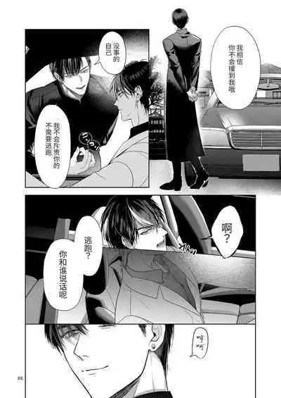 The perfect family 完整的一族