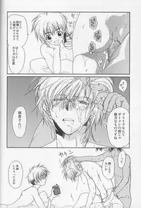 [CROCODILE-Ave. (Gangstar Yoshio)] Megamix Gravitation Panda (Gravitation)