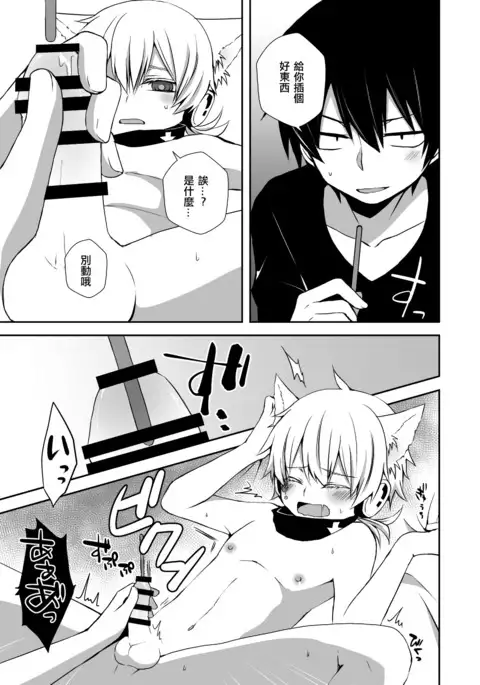 Neko Konoha no Jijiou