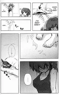 (C76) [LETTA, Romantic Shinjuu (Various)] Hyakka Ran Ran (Ranma 1/2) [English] [SaHa]