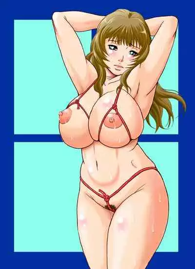 Hitozuma no Himitsu - Ayako Soushuuhen