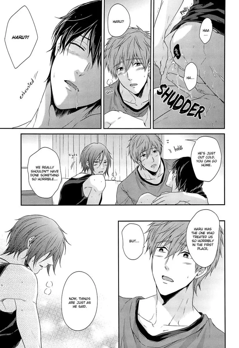 Please Forgive This Bad Dolphin