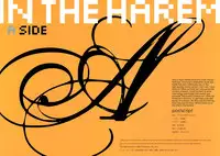 (C81) [Shoujo Kishidan (Oyari Ashito)] IN THE HAREM A SIDE (THE iDOLM@STER) [English] [Decensored]