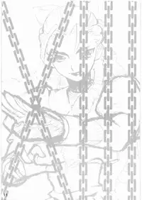 (C75) [burugari-ya (K.T)] 13TH (Street Fighter)