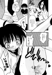 [yeahhhy tomii] Meconopsis